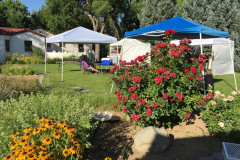 tents1